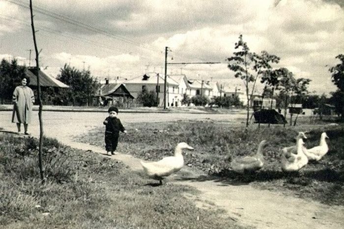 Деревенская Москва в период расширения в 1950 60 е годы: 35 исторических фото