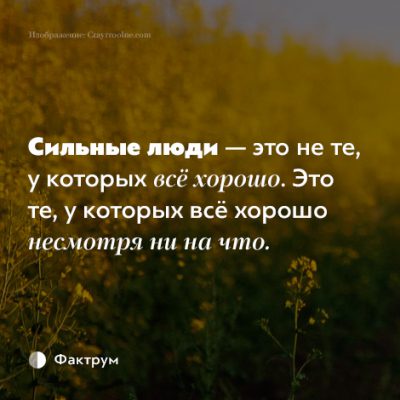 С тобой я несмотря ни на что стих С тобой я несмотря ни на что стих