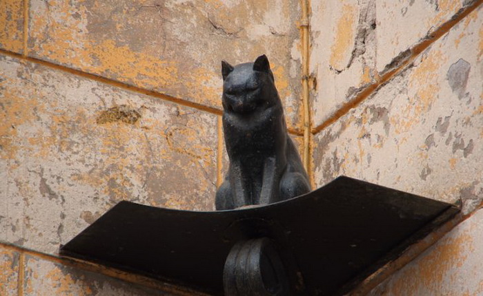Кот Елисей — памятник ярославским кошкам 