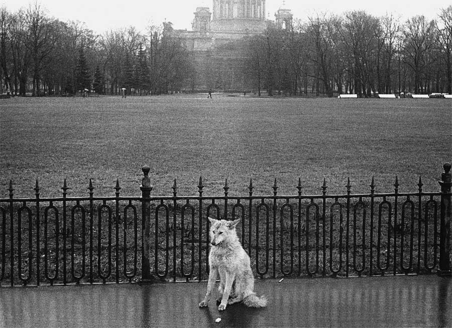 Казань и казанцы в 90-е. Портрет не города, а всей страны 