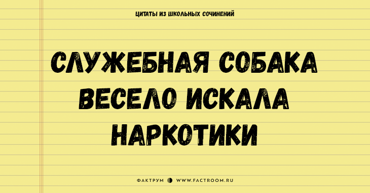 25 величайших цитат из школьных сочинений, которые стоит сохранить для потомков