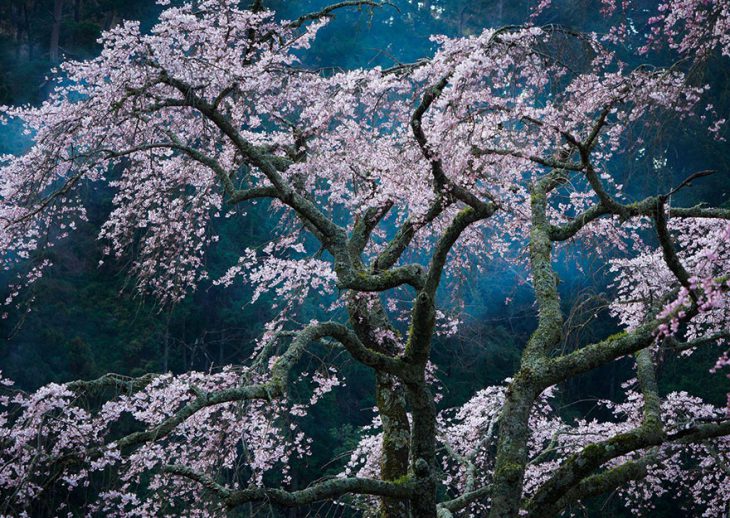 20 лучших фотографий конкурса National Geographic Traveler 2016