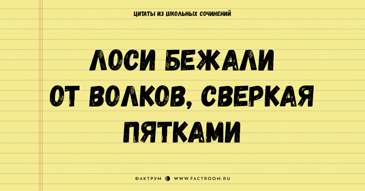 25 величайших цитат из школьных сочинений, которые стоит сохранить для потомков