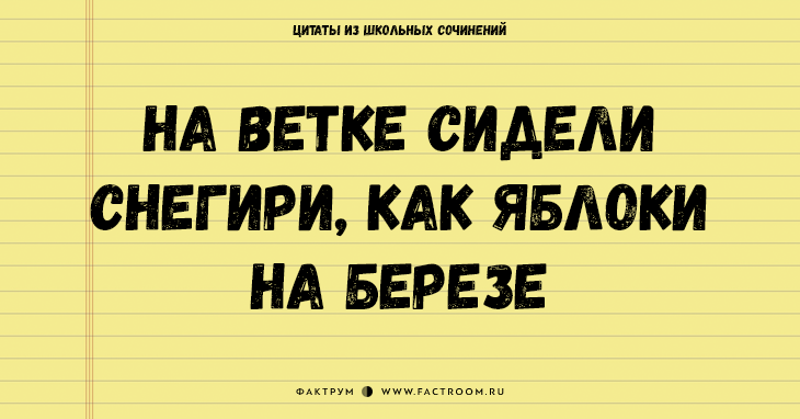 25 величайших цитат из школьных сочинений, которые стоит сохранить для потомков