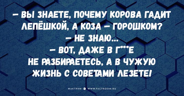 13 открыток с классными анекдотами, которыми нам не терпится поделиться!