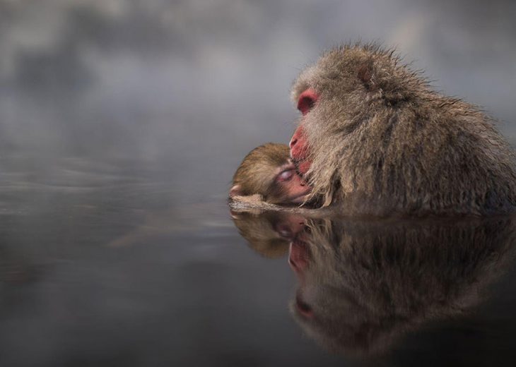 20 лучших фотографий конкурса National Geographic Traveler 2016