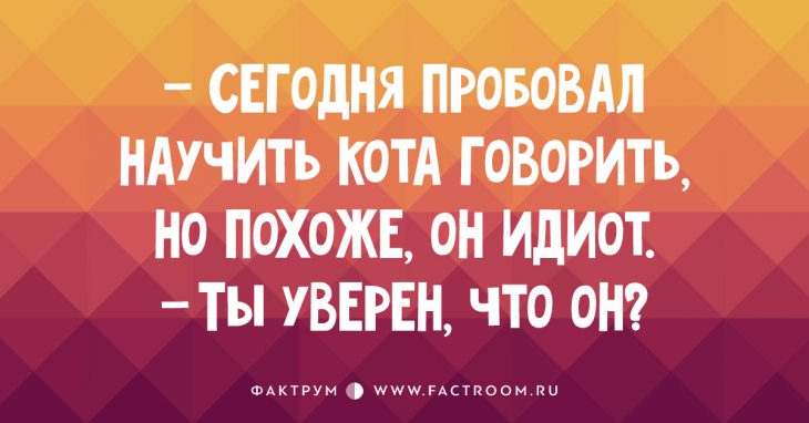 25 бодрящих пятничных анекдотов, которые помогут дотянуть до вечера!