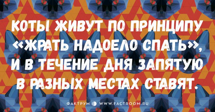 10 самых замечательных анекдотов про котиков