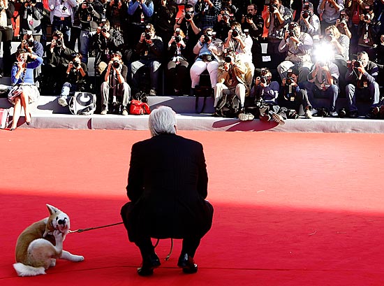 Ежегодно в России проводится «Оскар для животных» — международный кинофестиваль «Золотой клык»