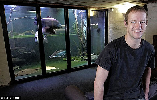 Самый большой домашний аквариум в Великобритании занимает целую комнату
