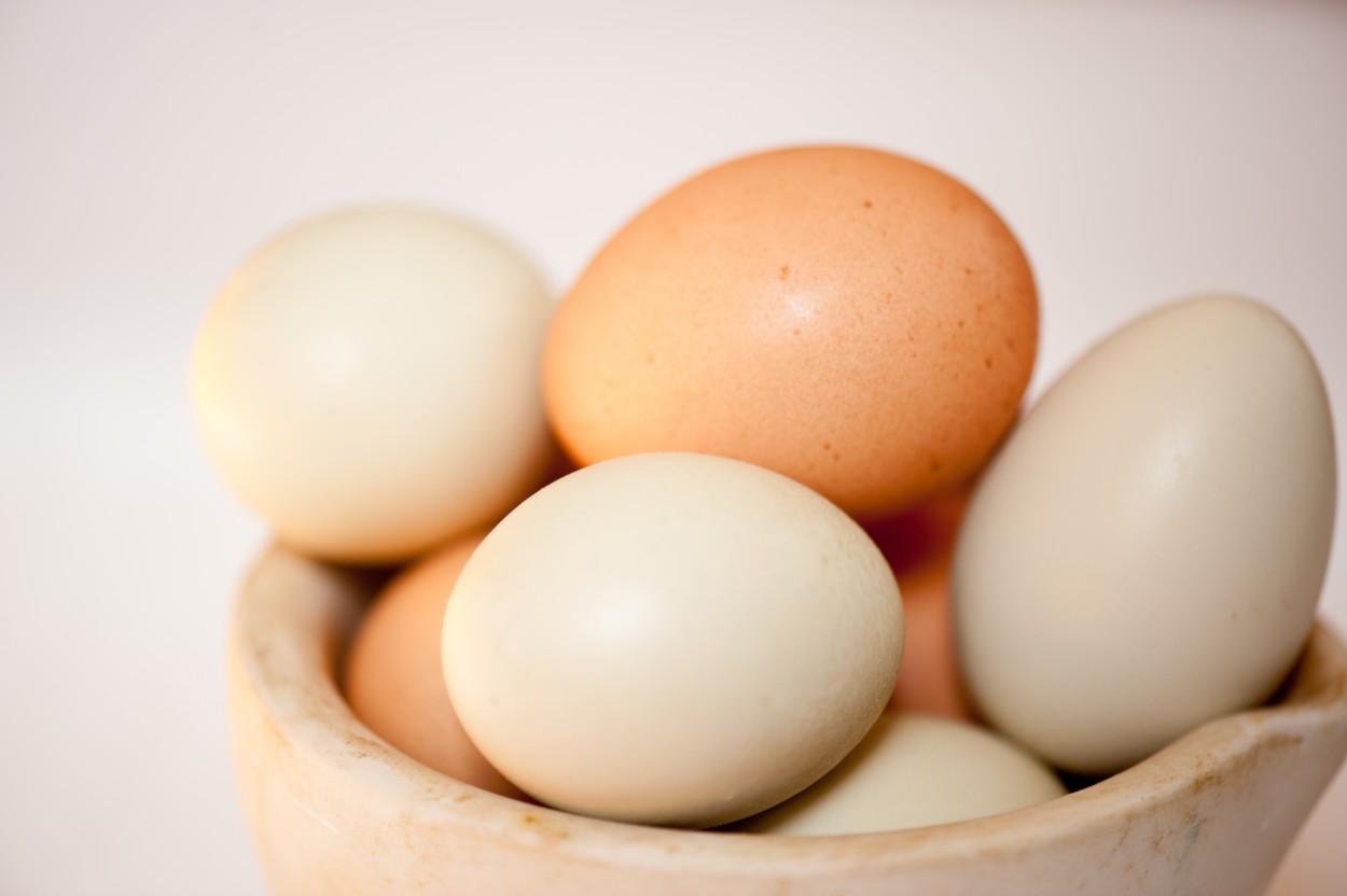 Единственный существующий в природе предмет яйцеобразной формы — это яйцо