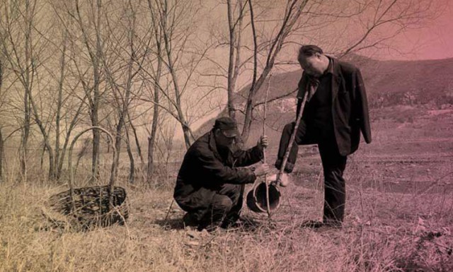 Китайские эко герои: слепой и его безрукий друг посадили  за 10 лет 10 000 деревьев