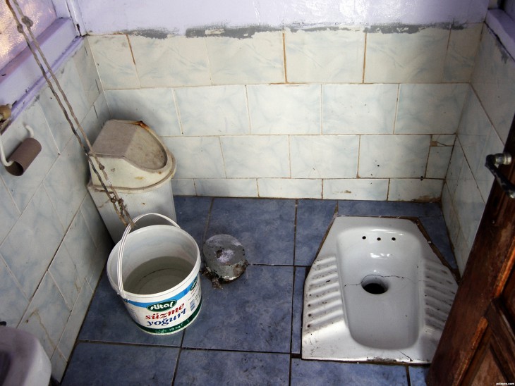 15 самых… туалетных фактов о том, как справляют нужду в разных странах