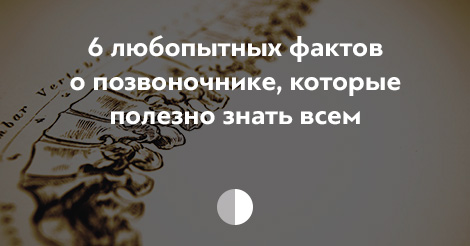 6 любопытных фактов о позвоночнике, которые полезно знать всем в 2019 году 6 любопытных фактов о позвоночнике, которые полезно знать всем в 2019 году