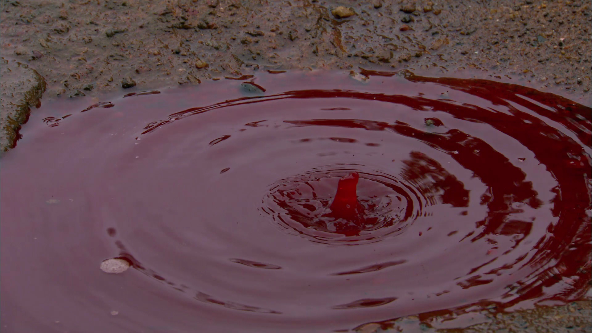На асфальте капли крови песня. Красный дождь в 2001 году в Индии. Кроваво красный дождь в Индии. Кровавый дождь в Колумбии 2008.