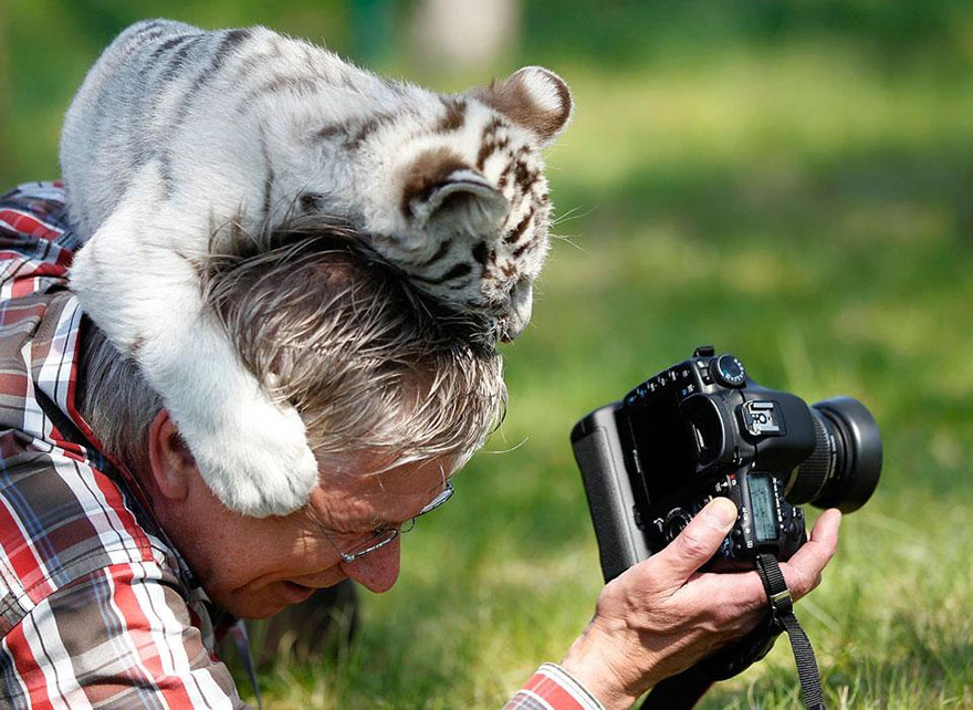 Мои изображения и фотографии