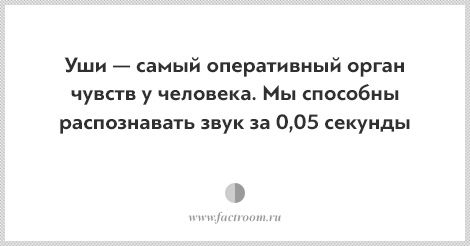 Интересные факты о работе органов чувств. Интересные факты о глазах человека. Интересные факты о работе наших органов чувств. Интересные факты о органах чувств. Интересные факты о работе наших органов чувств.