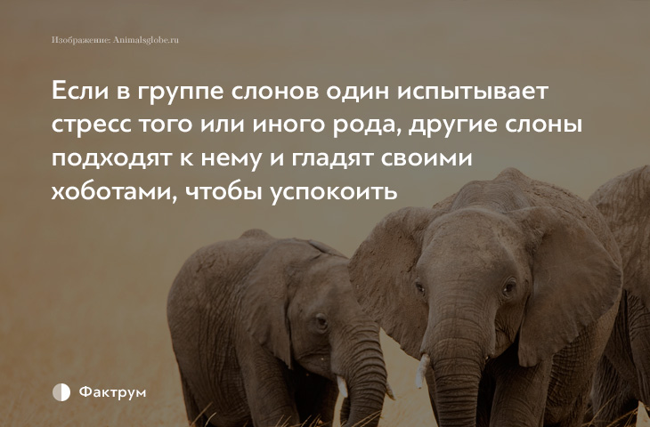 Скрапбукинг. Делаем 79 Скрапбукинг. Делаем 78