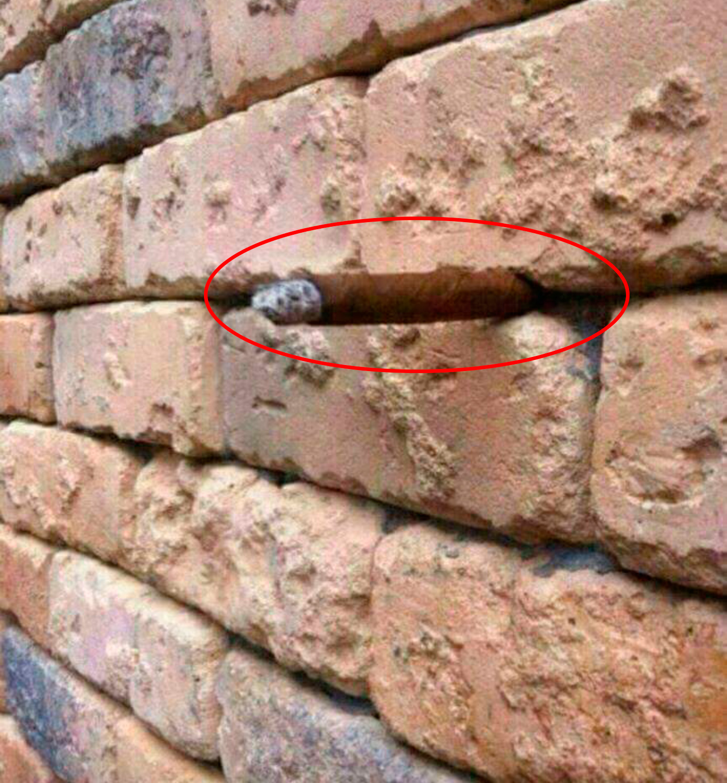 Стена улица рованя. Обои с надписью курим пляшем и ебашим. Классные надписи на стену. Сцена надпись. Видеть через стены.