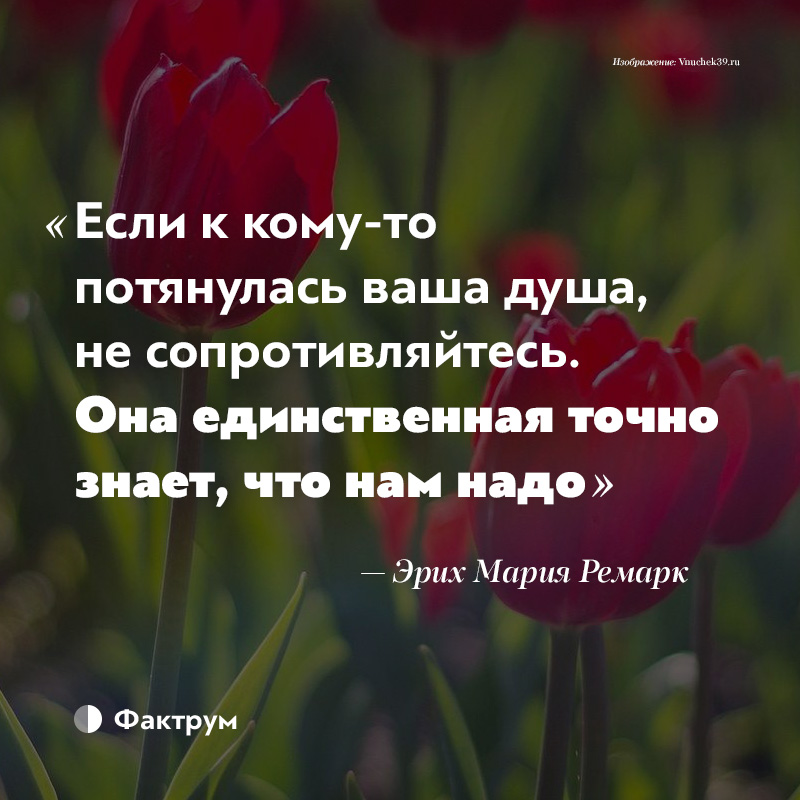 Я знал ее она была душою. Если душа. Если к кому-то потянулась душа. Если кому то потянулась душа не сопротивляйтесь она точно знает. Душа тянется к тебе цитаты.