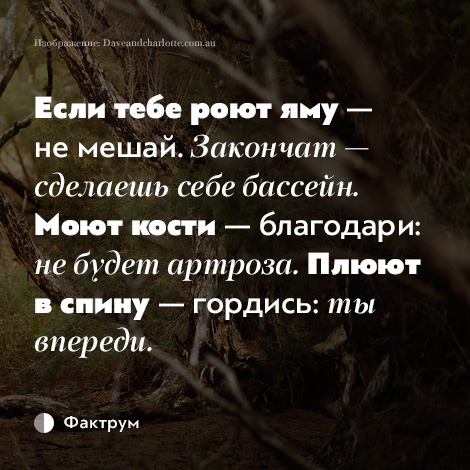 Если тебе роют яму не мешай закончат сделаешь себе бассейн картинки