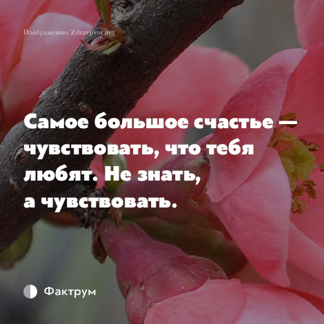 Самое большое счастье чувствовать что тебя любят не знать а чувствовать картинки