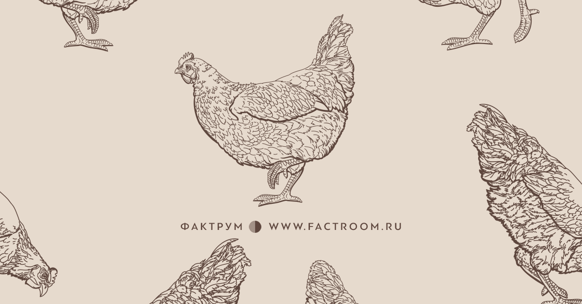 Мозг курицы рисунок