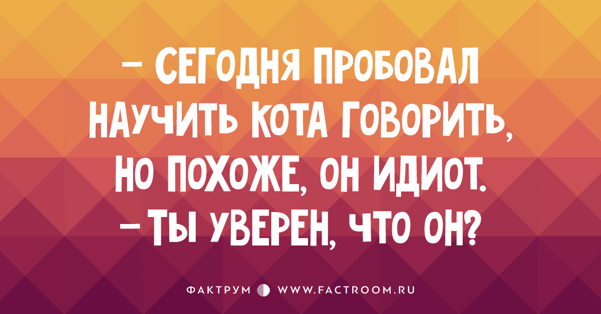 Сказать что это будет похоже. Кота учат говорить. Он идиот.