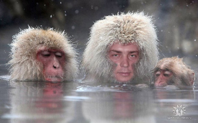 25 доказательств того, что российский фотошоп - самый суровый фотошоп в мире