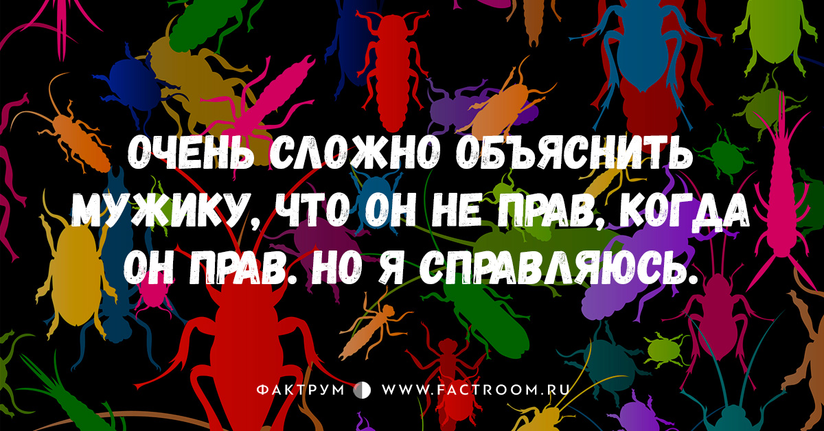 15 свежих и замечательных анекдотов, просто созданных для вашей улыбки!