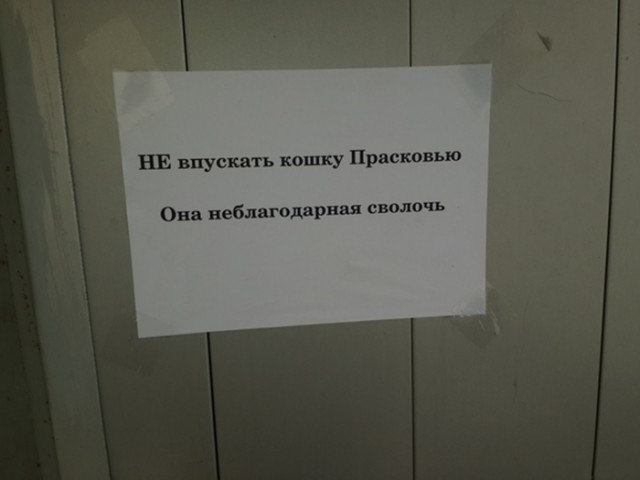 15 прикольных объявлений и надписей, которые непременно вызовут у вас улыбку