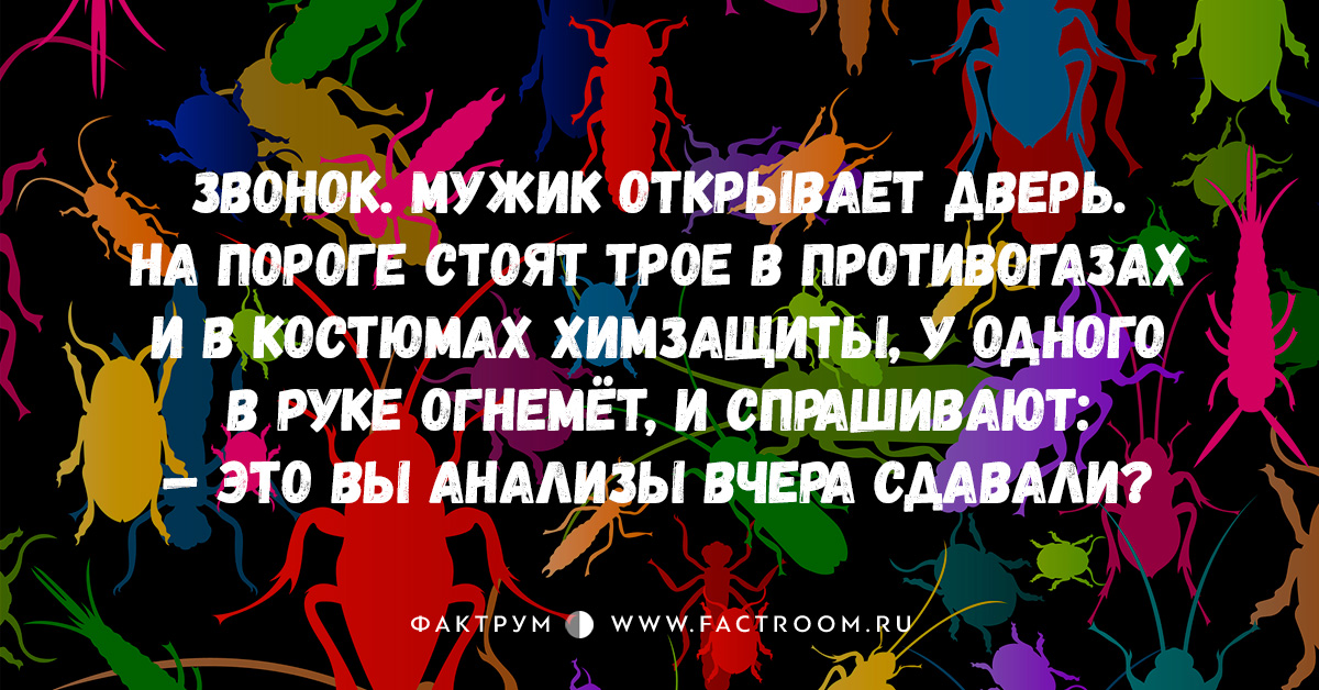 15 свежих и замечательных анекдотов, просто созданных для вашей улыбки!