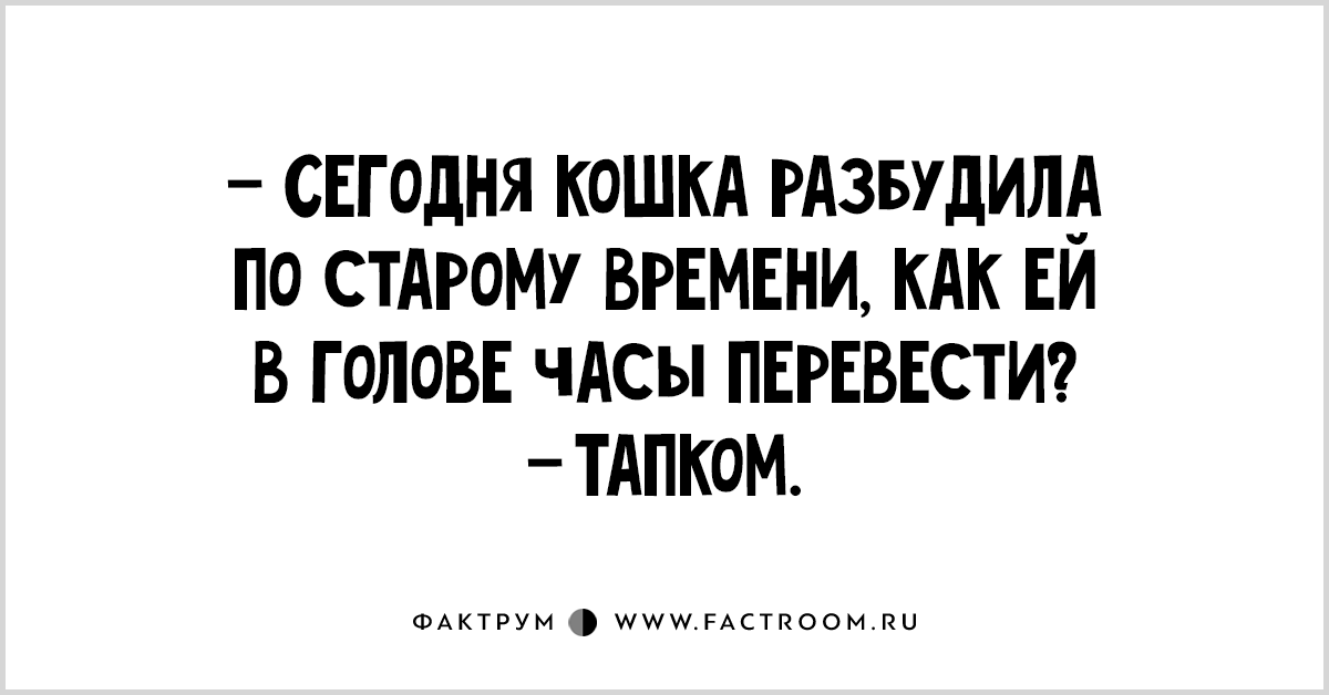 два друга в старости. утренний кот мем. кот в подполье. мем с иккингом и беззубиком. кот притаился.