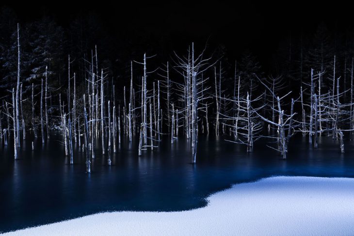 Лучшие фотоработы конкурса Sony World Photography 2017