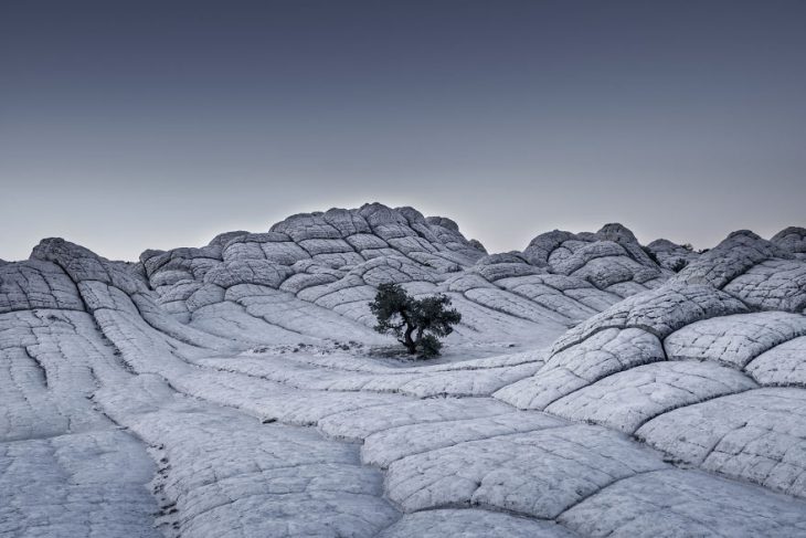 Лучшие фотоработы конкурса Sony World Photography 2017