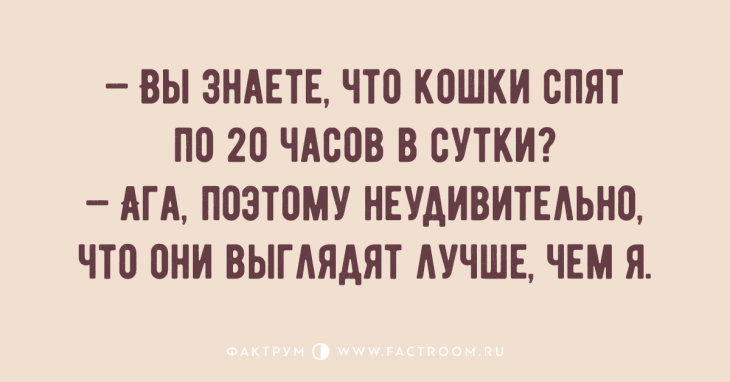 Топ 10 анекдотов дня, помогающих поднять настроение за пару минут