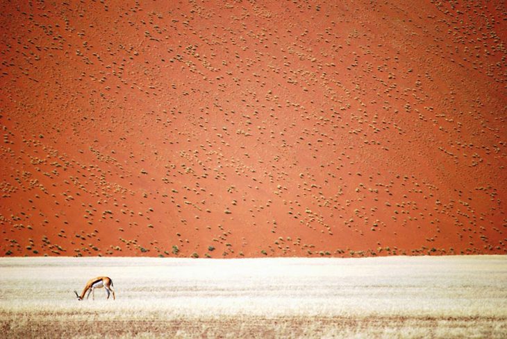 Самые умопомрачительные фото с конкурса «National Geographic Traveler Photo»