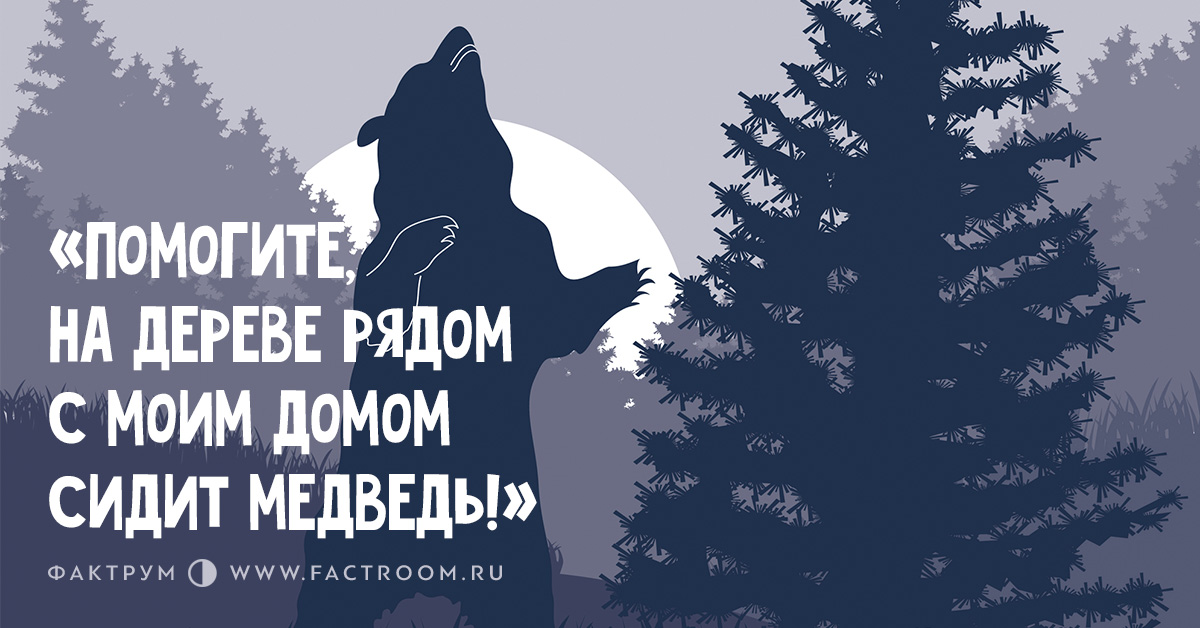 Помогите, надереве рядом смоим домом сидит медведь в 2019 году Помогите, надереве рядом смоим домом сидит медведь в 2019 году