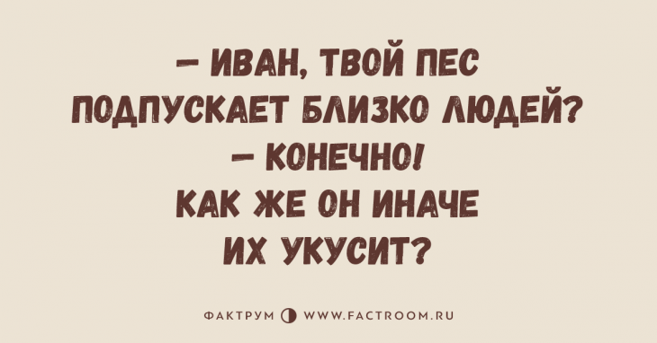 Изумительные анекдоты, поднимающие настроение до невероятного уровня