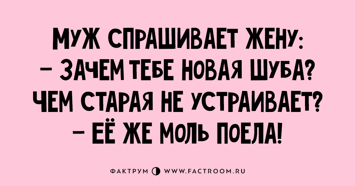 Почему жена не супруга в чем разница. Всех моль поела