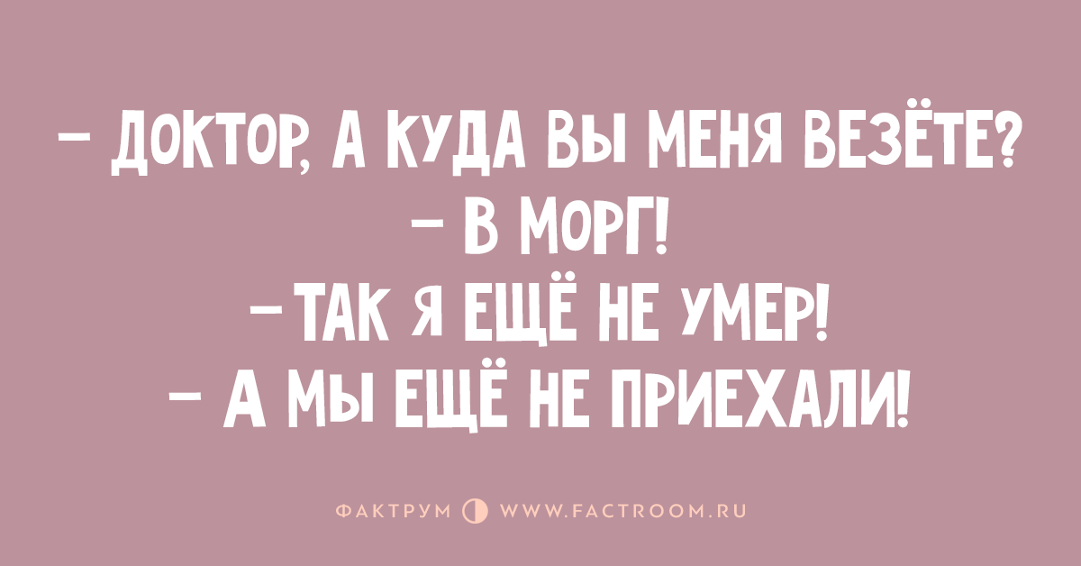 Вы куда меня везете. Доктор а вы меня куда везете. Вы куда меня везете. Вези меня в свою страну олению. Куда поступать.