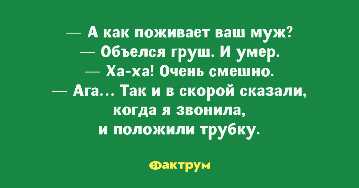 Звонят и ложат. Фактрум анекдоты короткие. Фактрум анекдоты. Фактрум юмор. Топ 10 смешных шуток