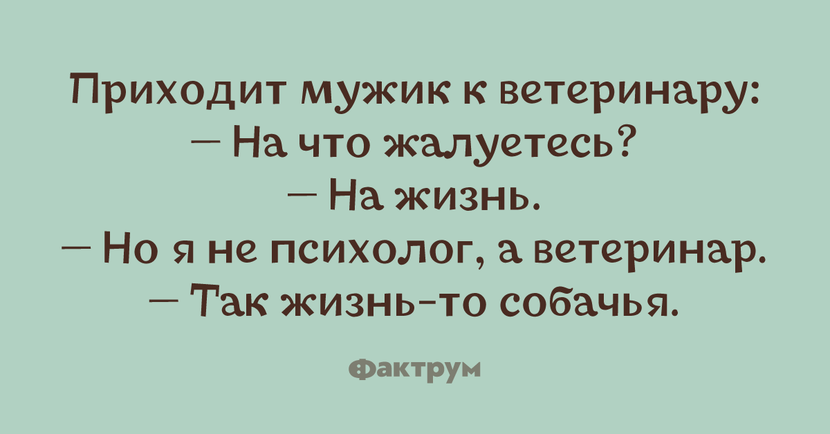 Пришла к парням одна. Смешные рассказы о психологах. Жизнь психолога. О жизни психолога мемы. День из жизни психолога.