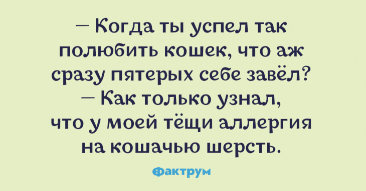 Шикарные анекдоты, над которыми нельзя не похихикать