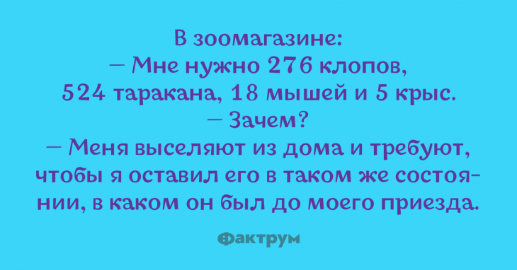 Просто улётные анекдоты, стоящие вашего внимания