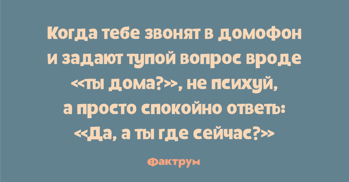 Горячая десятка чумовых анекдотов на все случаи жизни