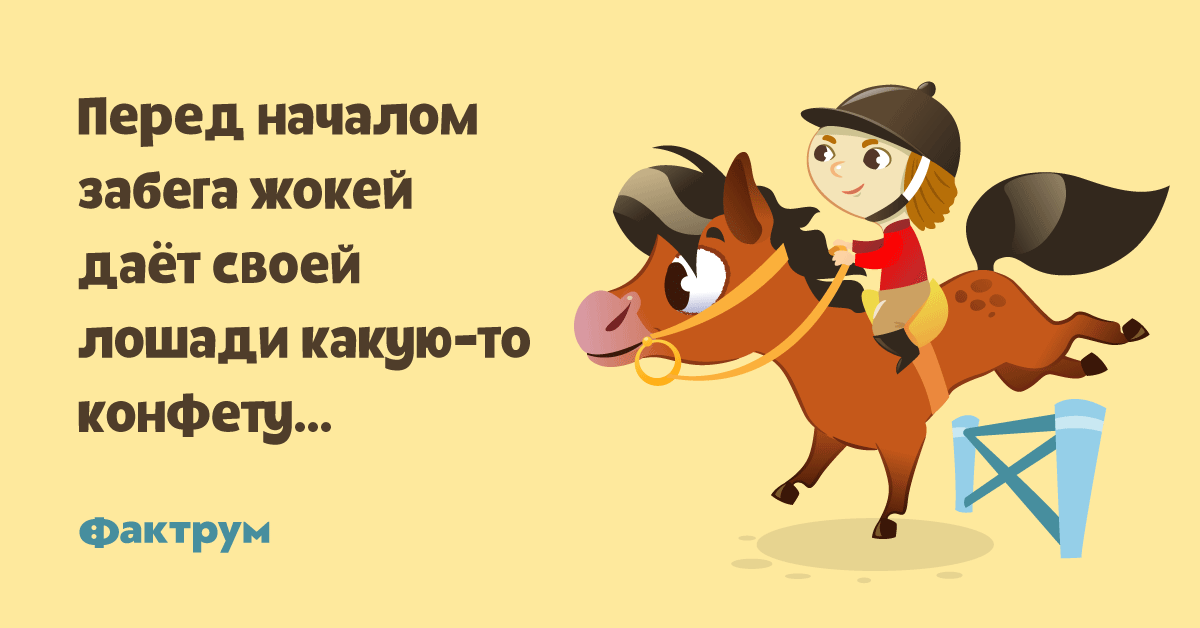 Диск жокей слова. Жокей предложение. Стих про жокея для детей. Анекдот Жоккей дает лошади конфету. Жокей дает лошади леденец анекдот.
