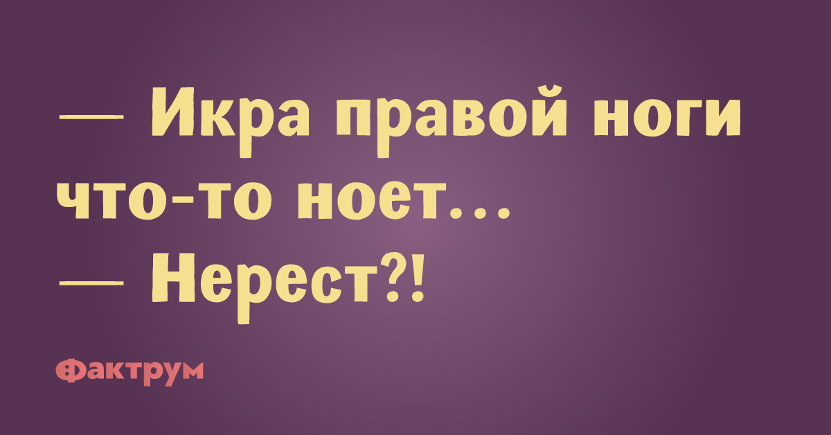 Прекрасные анекдоты, заслуживающие вашей искренней улыбки