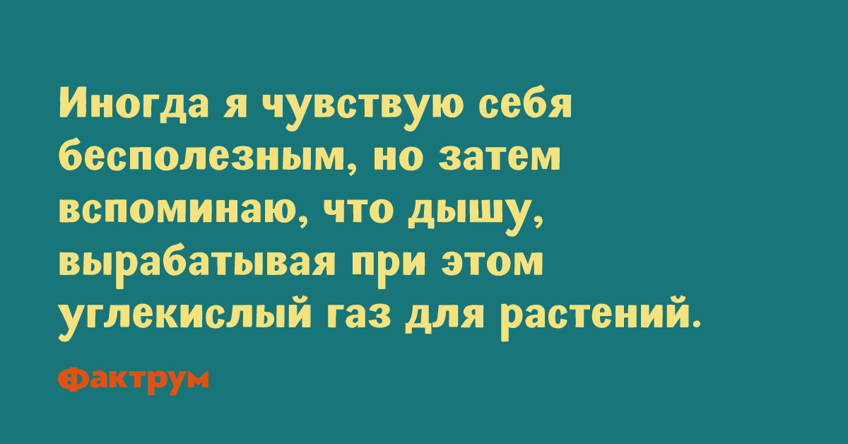 Просто сногсшибательные анекдоты, ради которых стоит бросить все дела