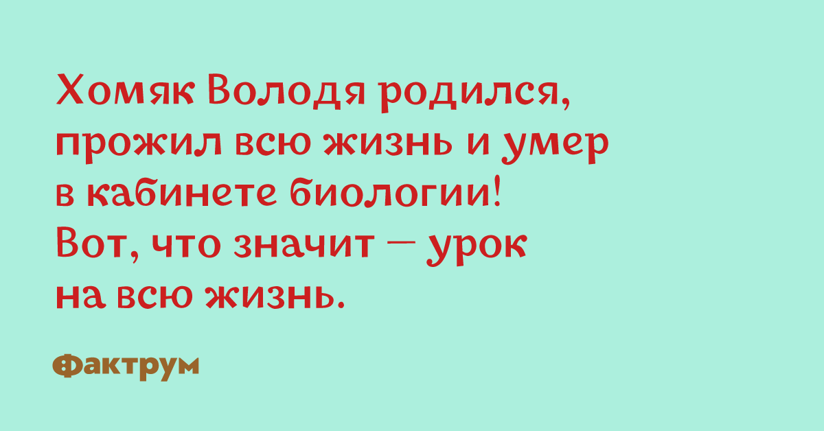 Отменная подборка уморительных приколов для замечательного дня
